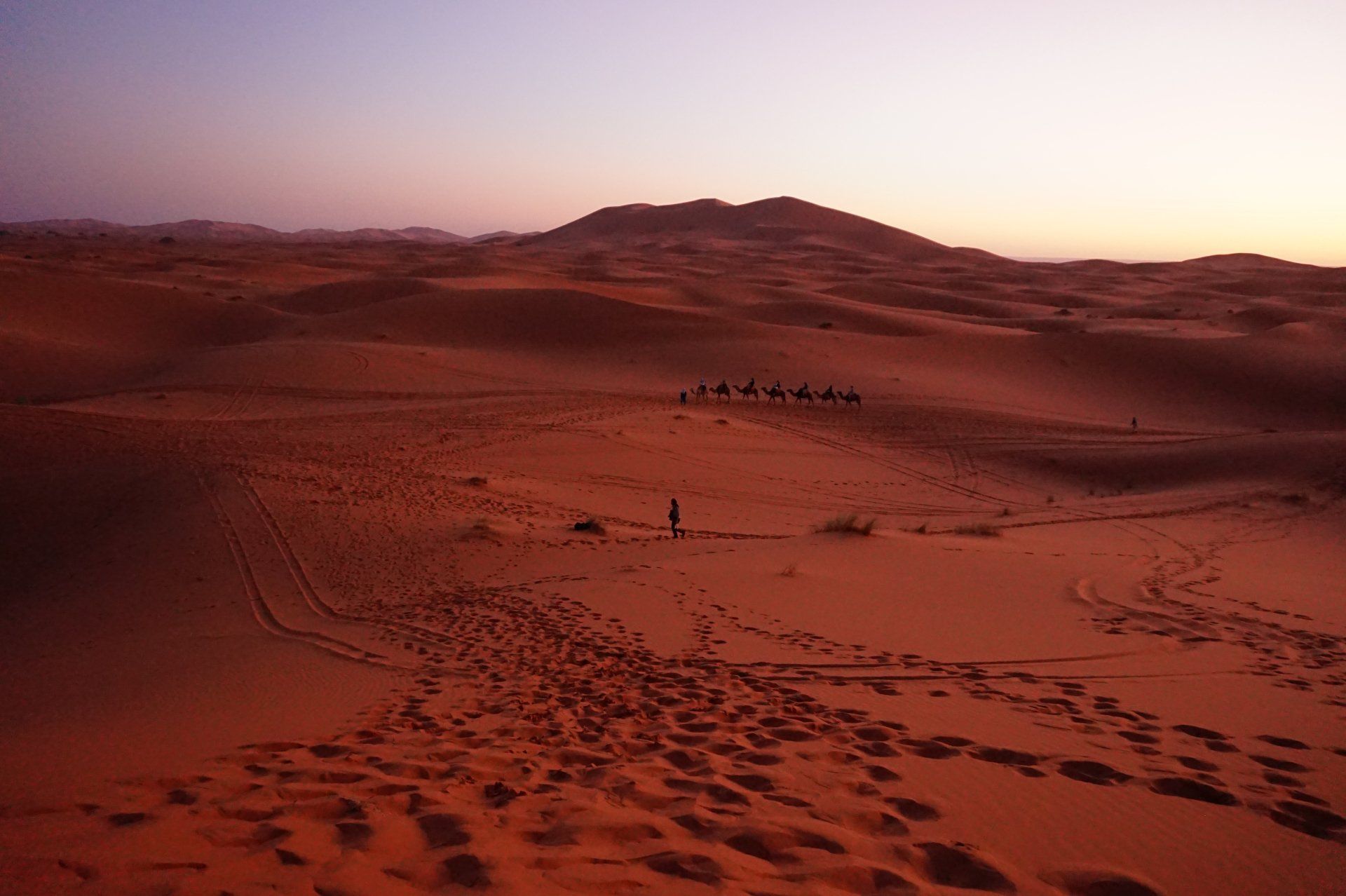 The Saharan Dunes