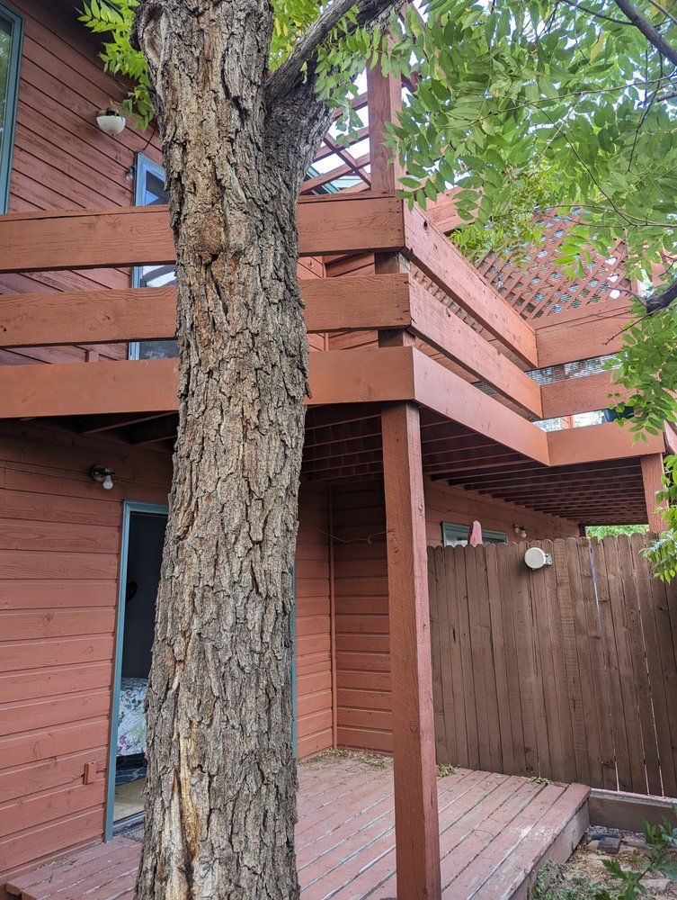 Brown wooden deck wraps around a tree; side of a building with brown siding.