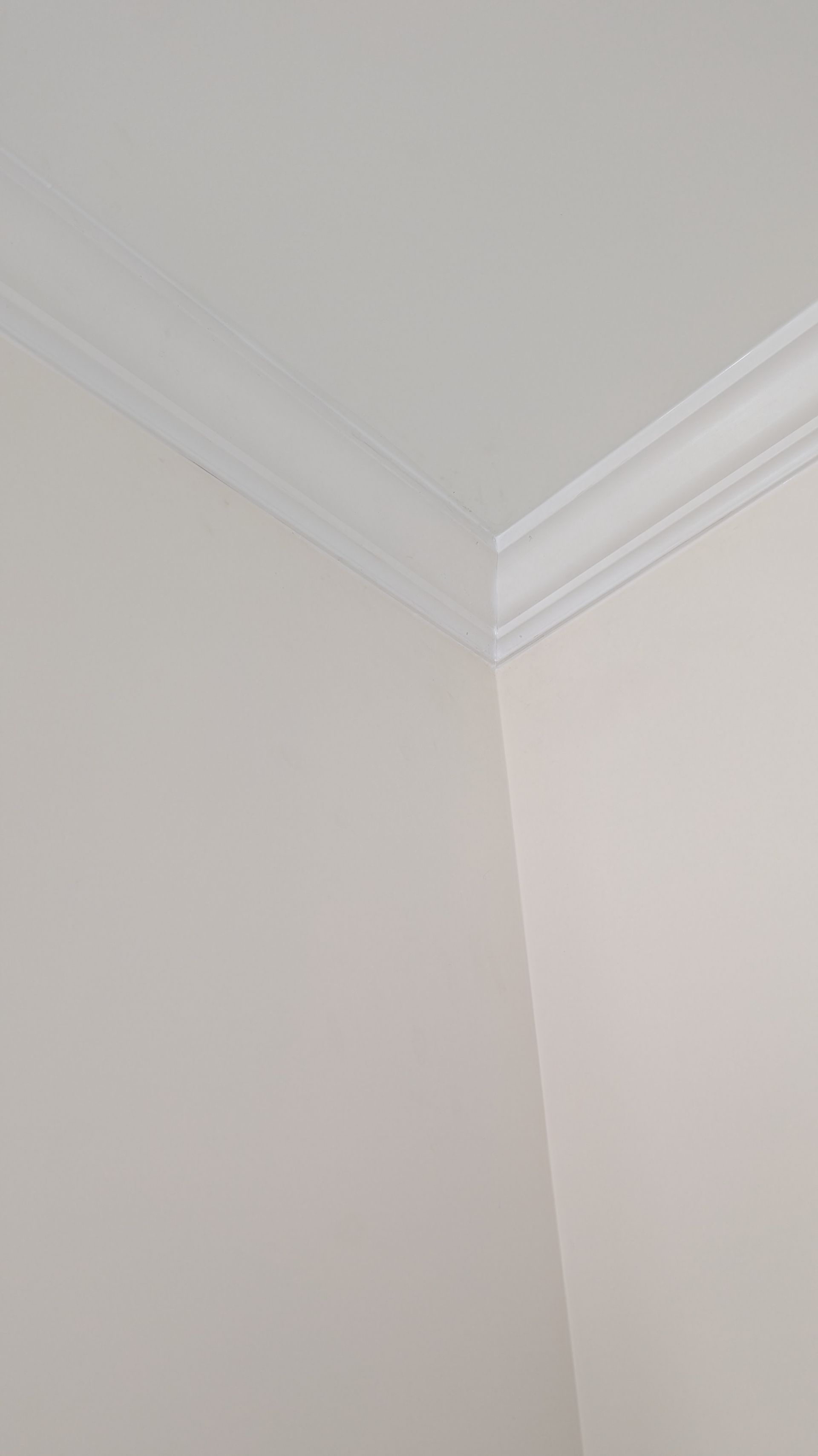 White walls and ceiling with decorative crown molding in a corner.