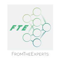 FTE logo