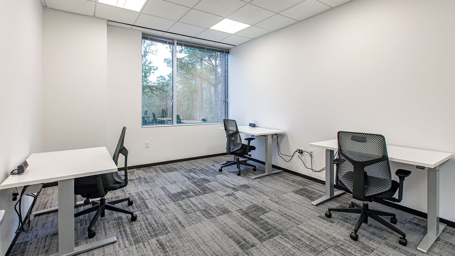 The Cannon Woodlands small office