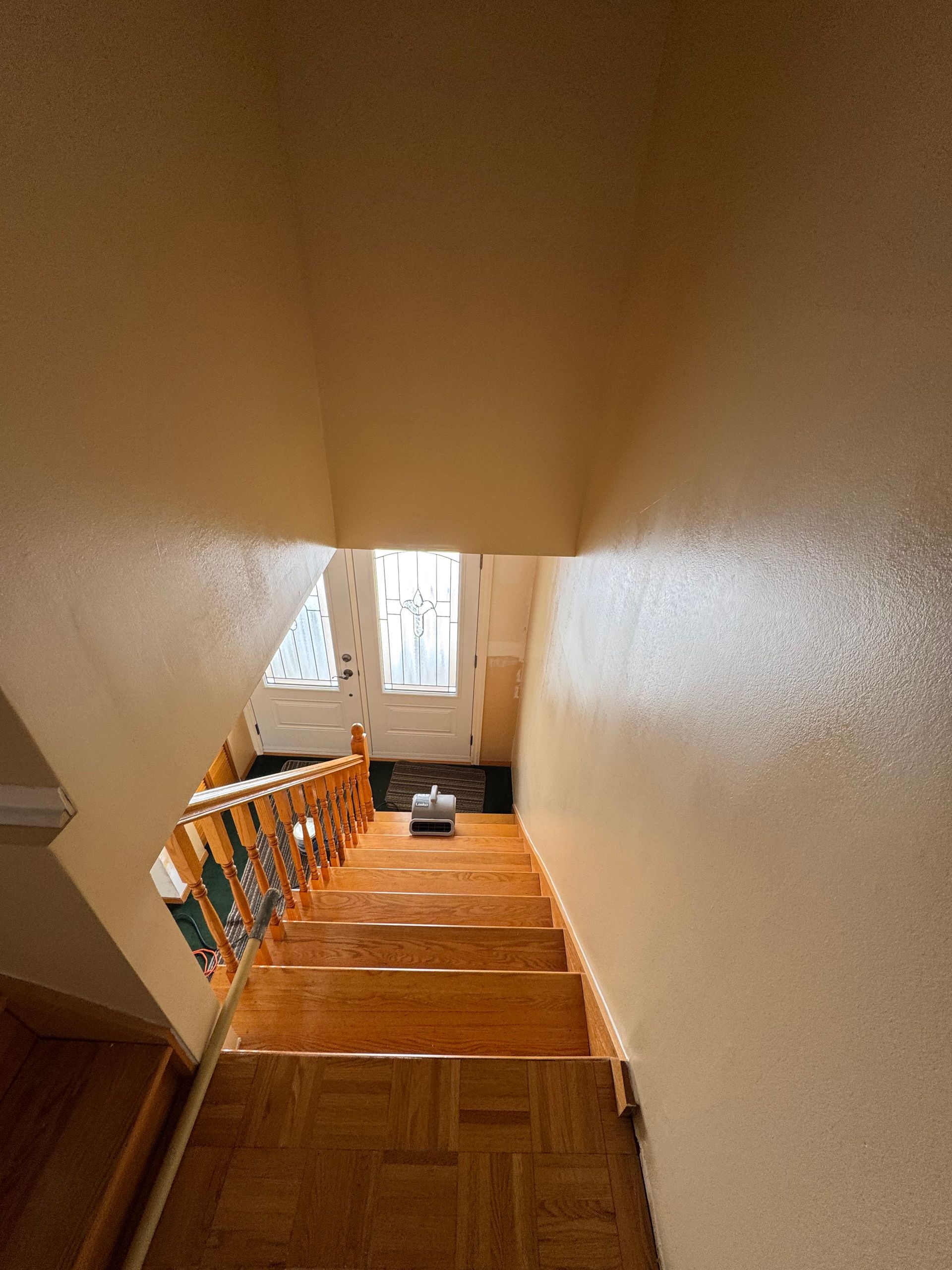 Escalier avec marches en bois et rampe menant à un espace bien éclairé avec fenêtres.