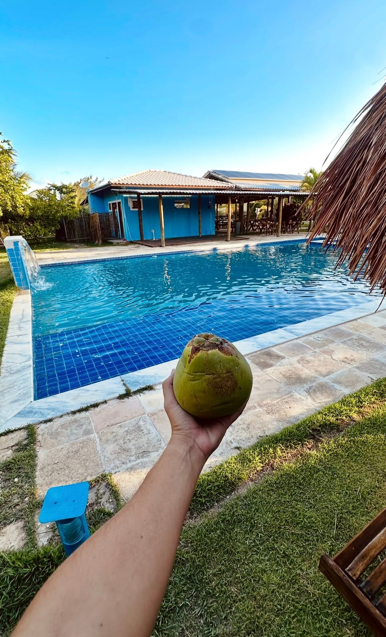 Uma mão segura uma fruta verde espinhosa em frente a uma piscina azul e uma casa rústica sob um céu azul brilhante.