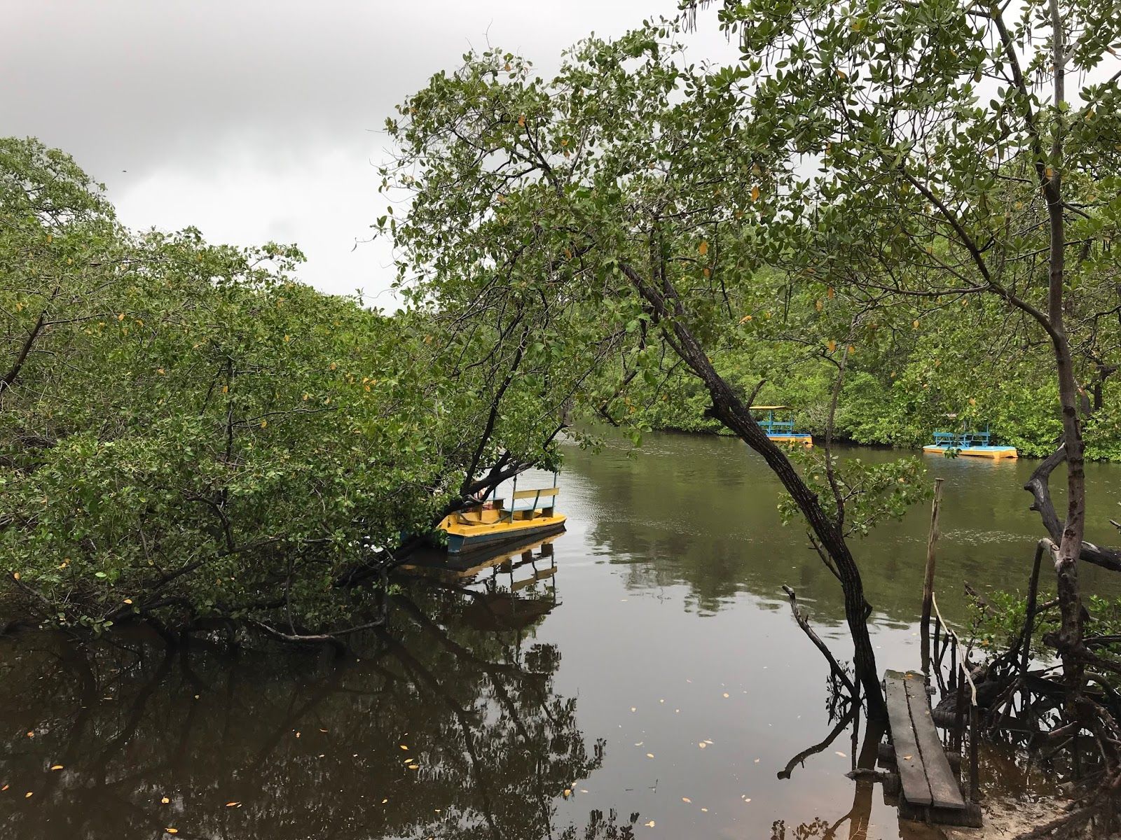 Associação Peixe-Boi
