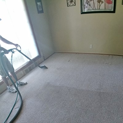 Carpet Cleaning in Process — Macomb, MI — Dun-Rite Carpet, Upholstery, Tile, and Grout Cleaning