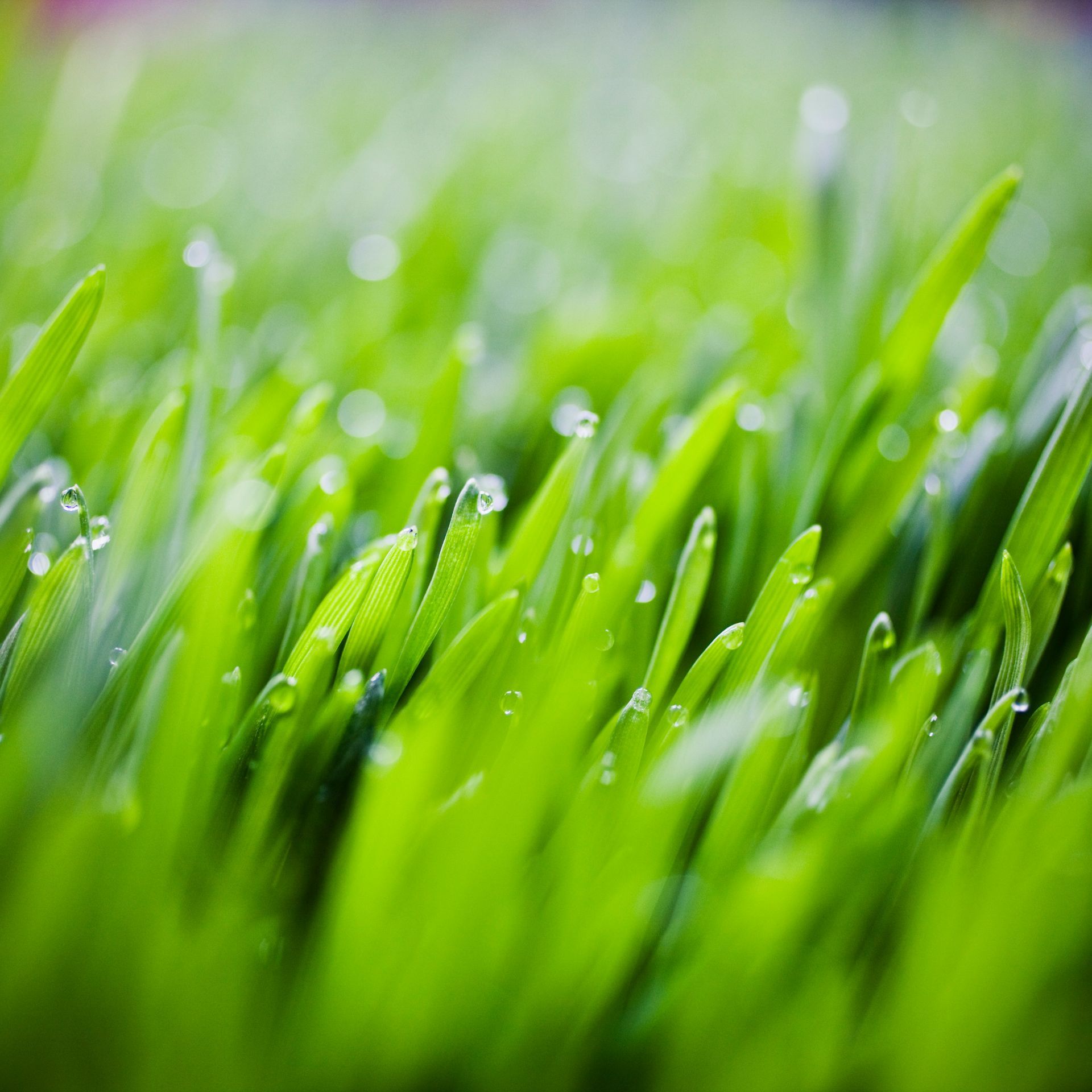 impianti idrici per giardini