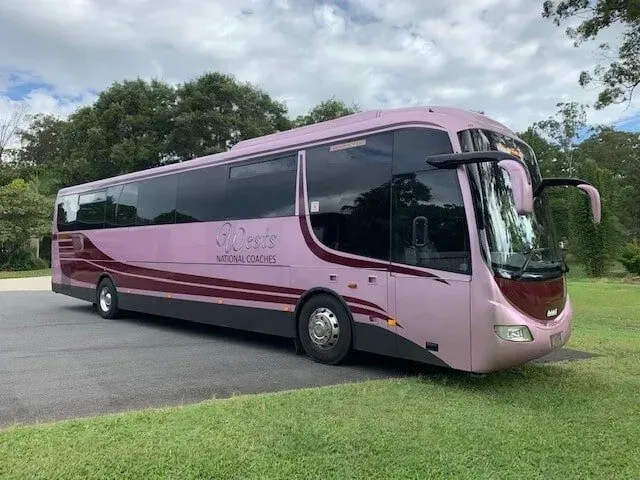 A Pink Bus is Parked on the Side of the Road — Wests National Coaches In Chevallum, QLD