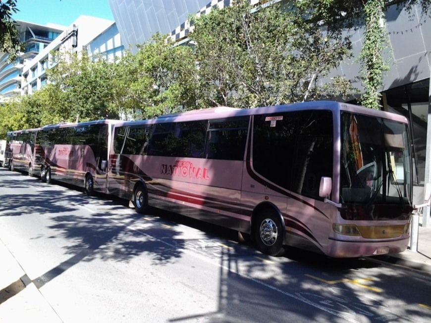 A Row of Pink Buses Are Parked on the Side of the Road — Wests National Coaches In Chevallum, QLD