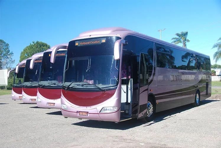 A Line Up Of Parked Pink Buses — Wests National Coaches In Chevallum, QLD