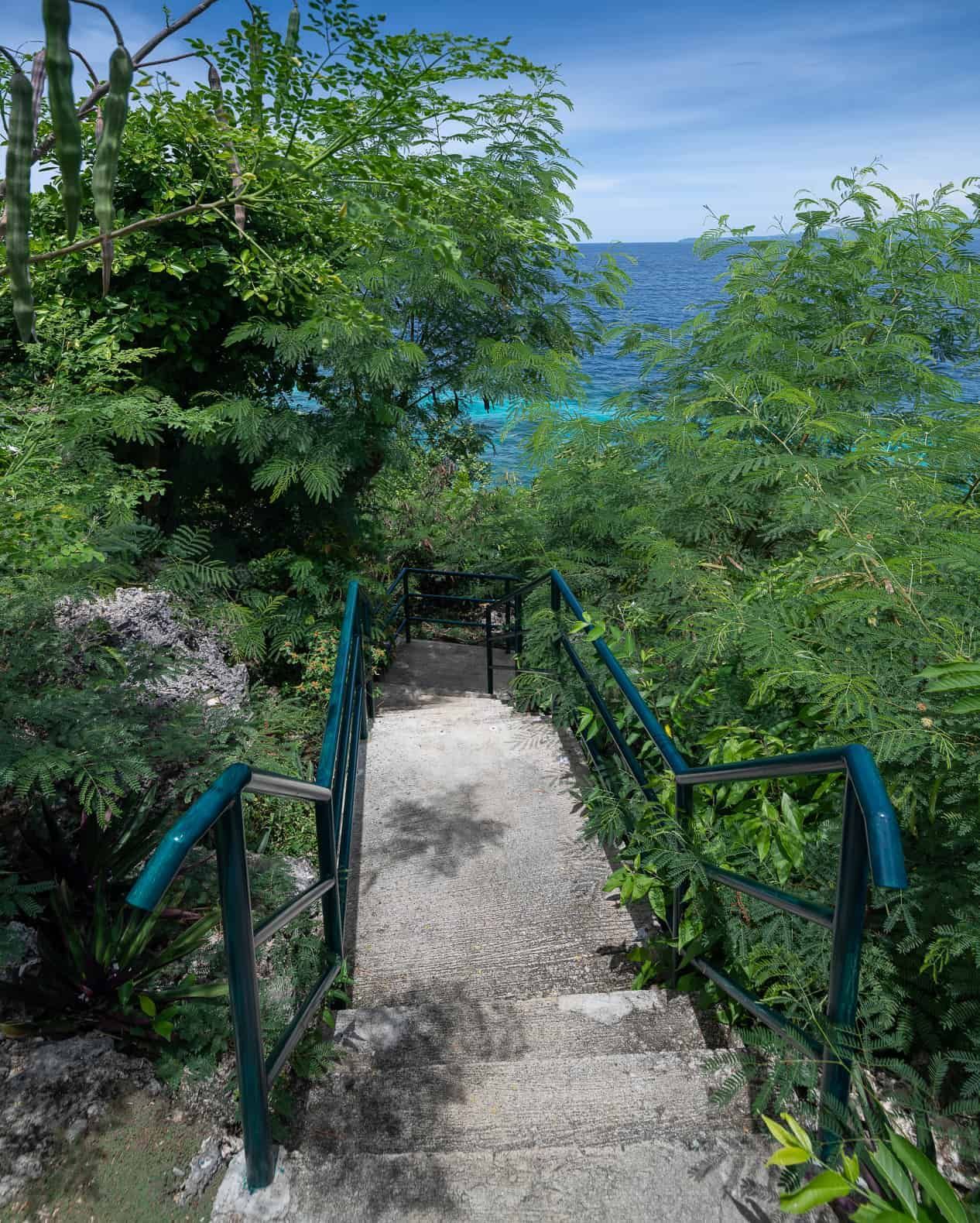 Stone staircase through lush greenery leads to the ocean, with blue railings.