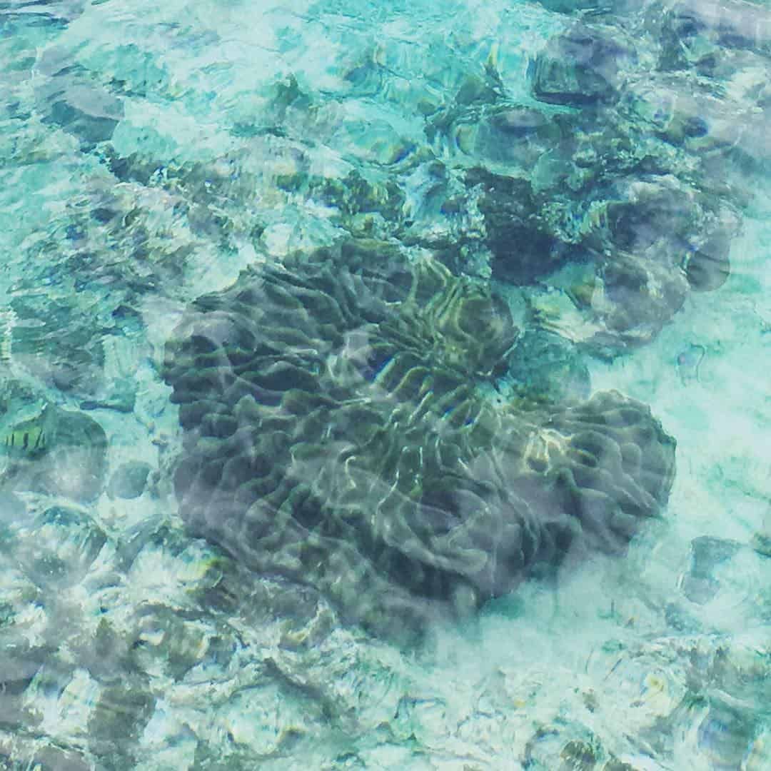 Coral reef visible through clear, turquoise water.