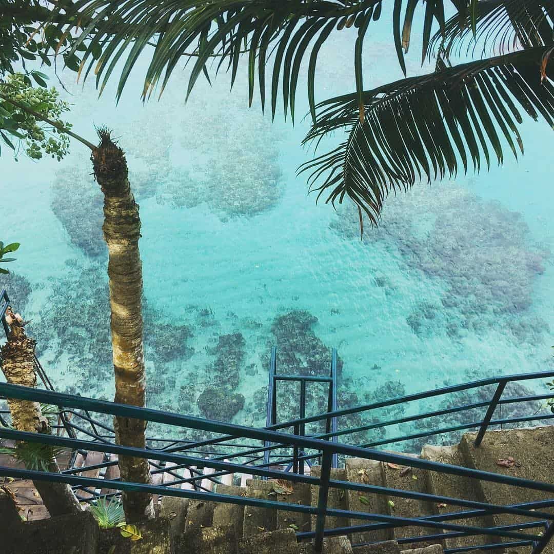 Overhead view of a turquoise ocean, visible coral, and a palm tree, with stairs and railings in the foreground.
