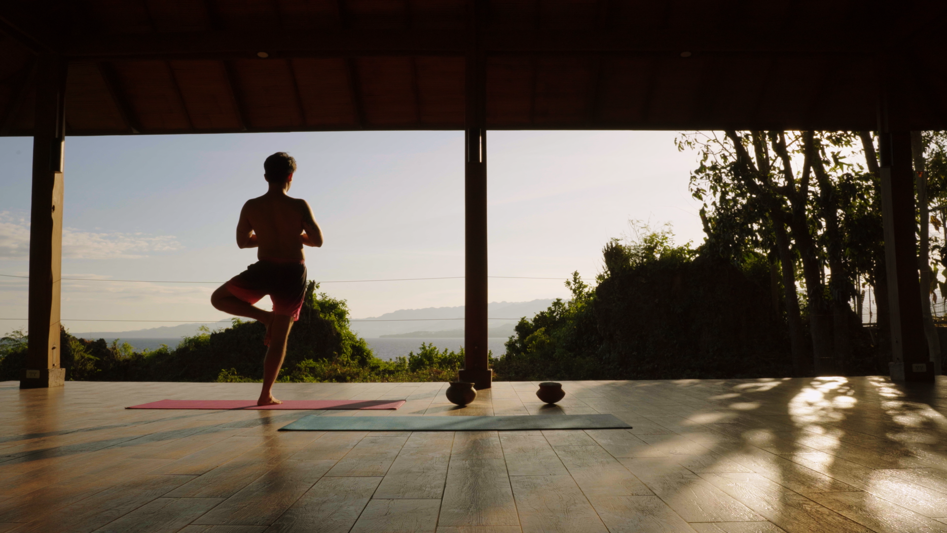 Person in a tree pose on a yoga mat. Overlooks a valley and trees from an open-air wooden deck.