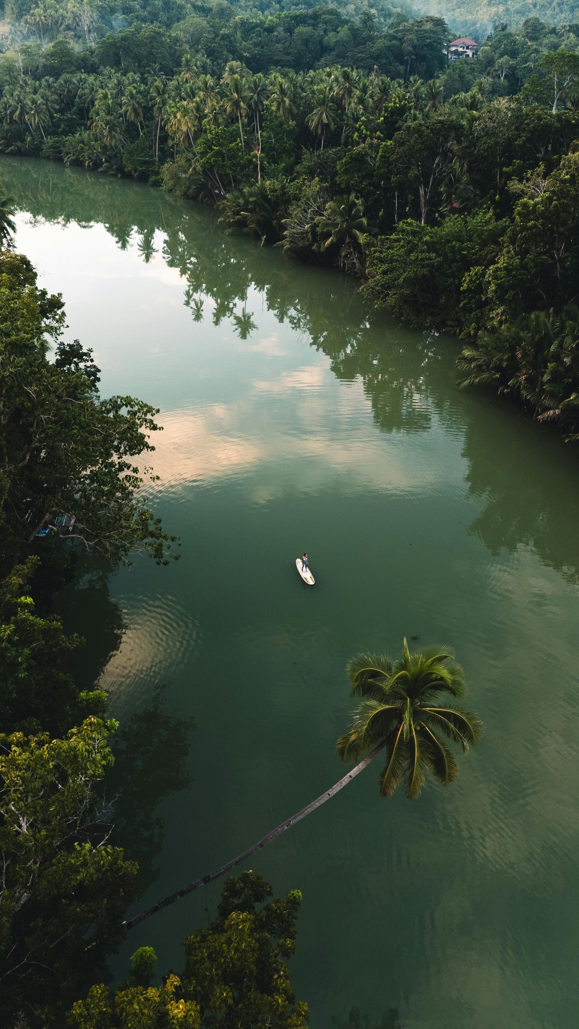 River winding through lush green trees with a small boat in the water.