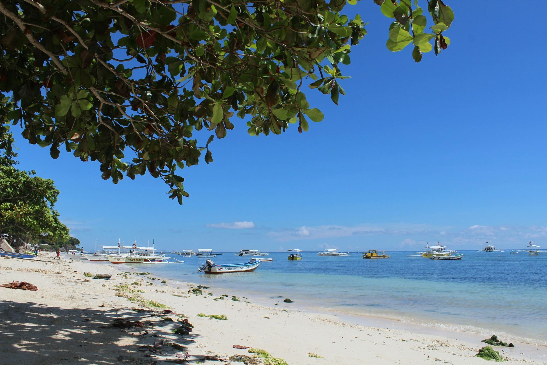 White sand beach with boats in the turquoise water under a bright blue sky. Green tree branches in the foreground.