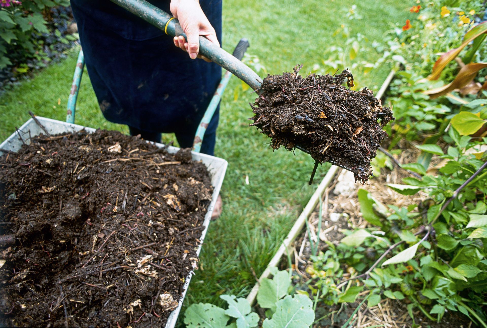 a person is using a shovel to dig a hole in the ground