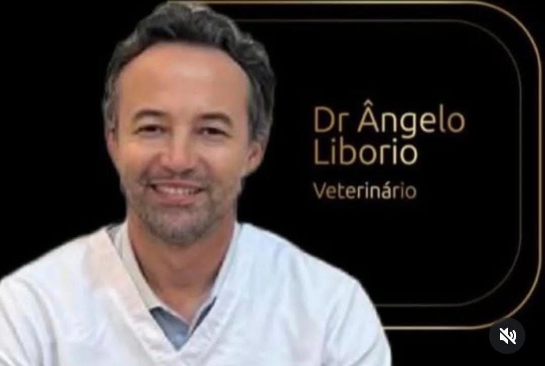 CLINICA  SAUDE  ANIMAL
DR  ANJELO  LEAL  LIBÓRIO