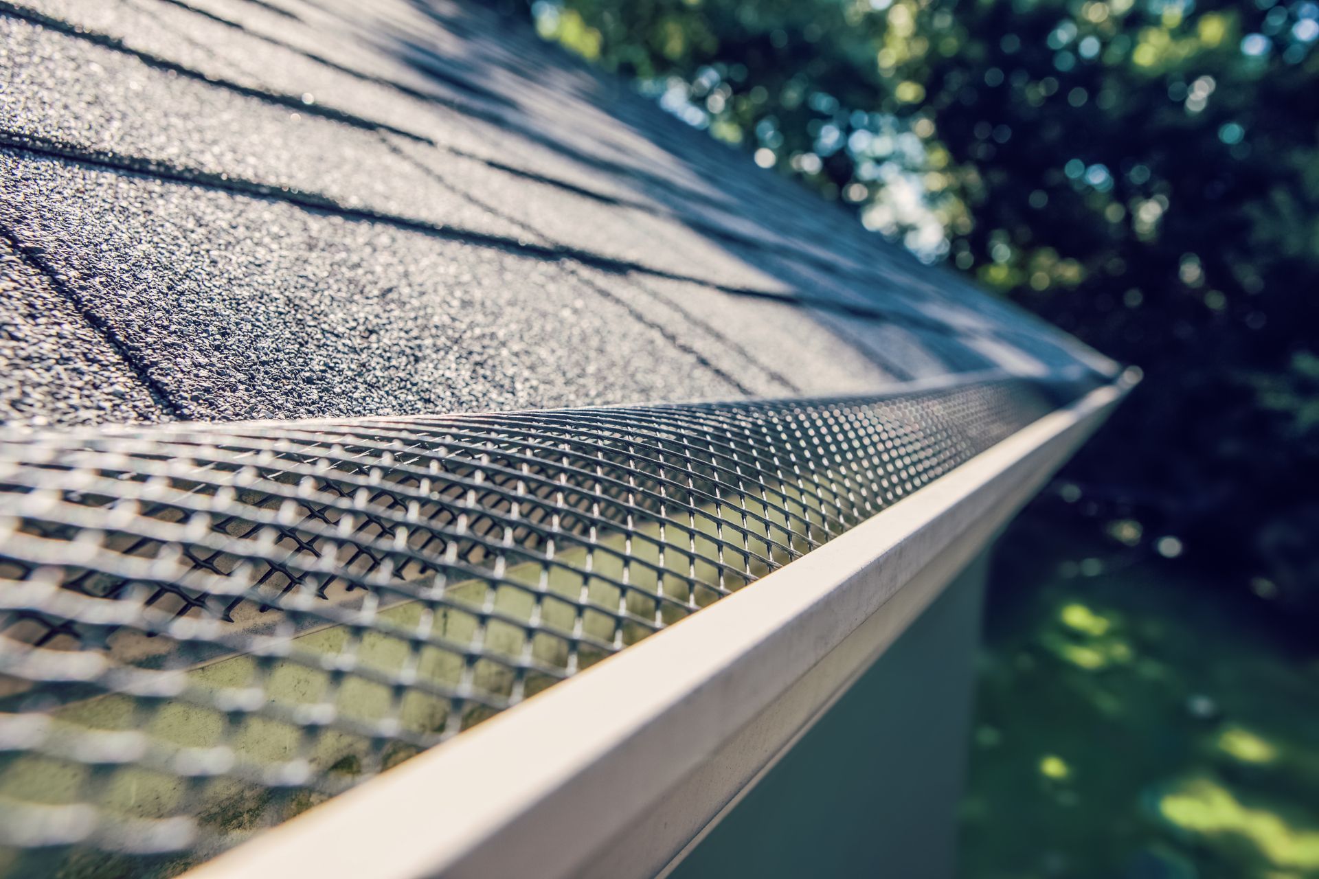 Gutter guard on a shingled roof, with sunlight and trees in the background