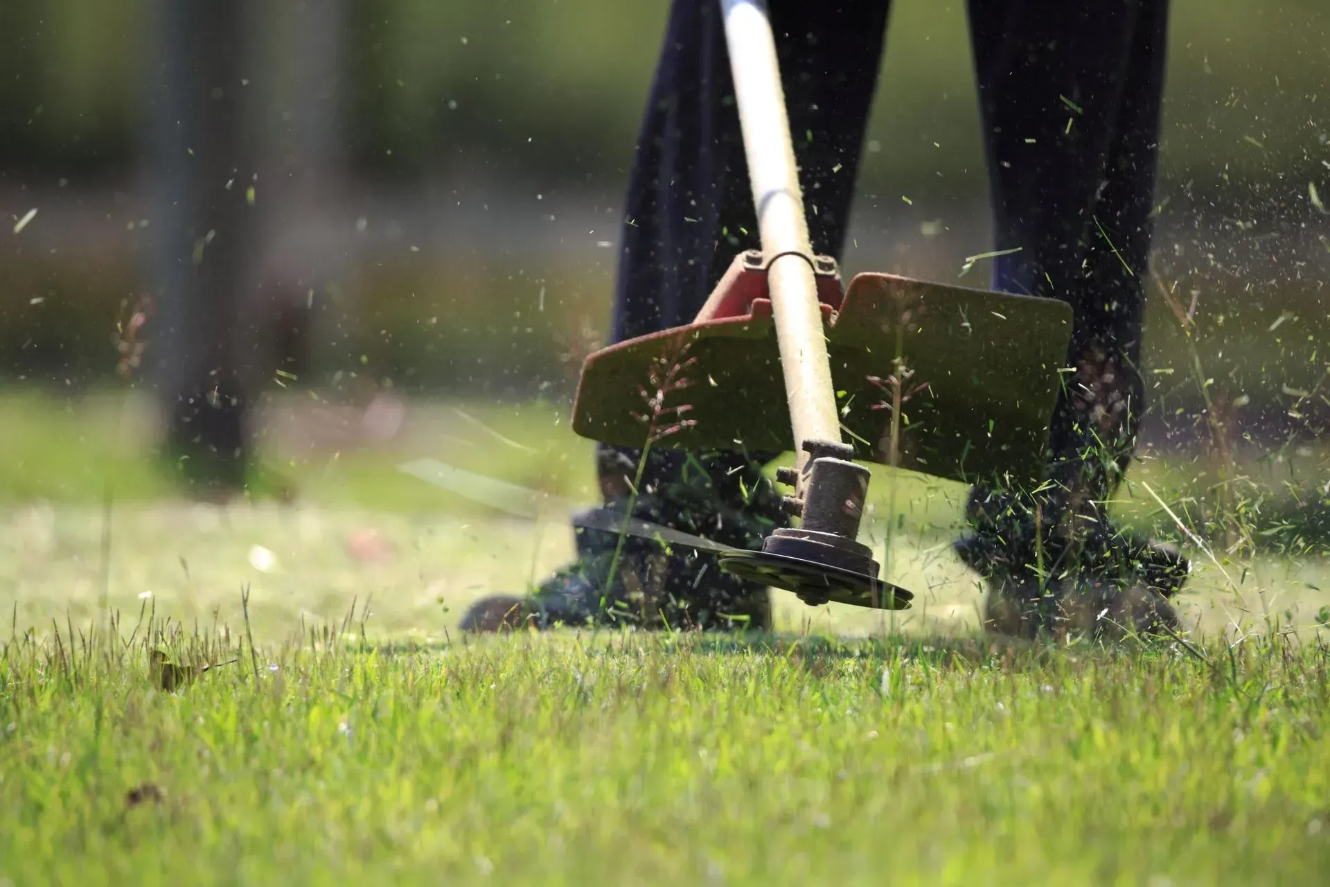 Person using a string trimmer to cut wet grass in a yard