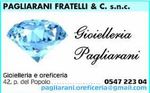 GIOIELLERIA FRATELLI PAGLIARANI & C. SNC-logo