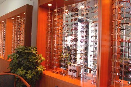 Frames — Eyeglasses Rack With Plant in Rockingham, NC
