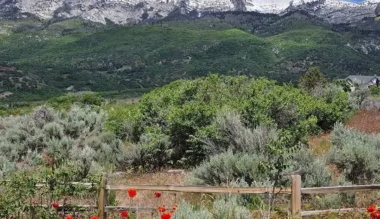 Lush green and gray vegetation in front of a mountain range, with some snow on the peaks and a wooden fence.
