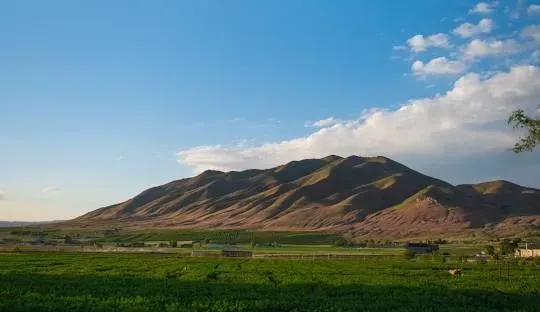Rolling green field, brown mountain under a blue sky with white clouds.
