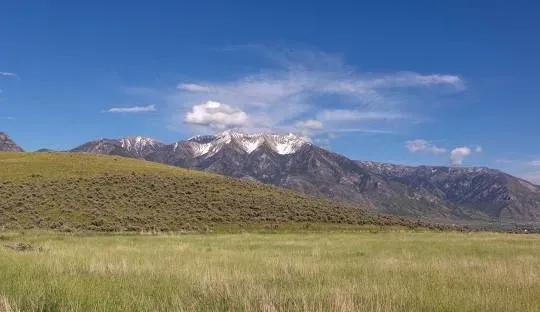 Green field with mountains under a blue sky with wispy clouds. Snow on mountain peaks.