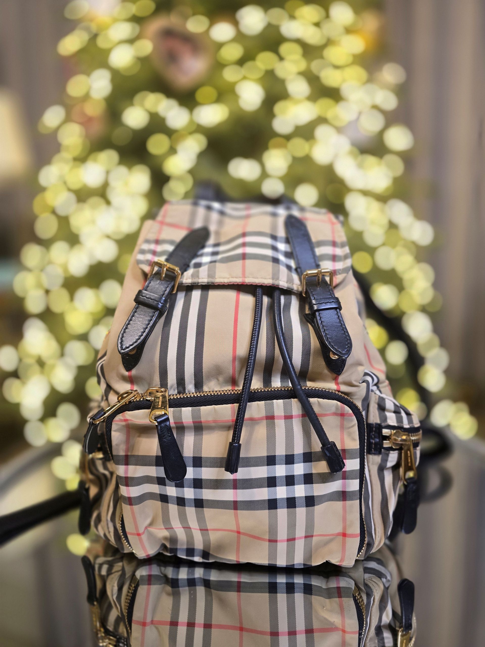 Burberry Nova Checked Rucksack Backpack