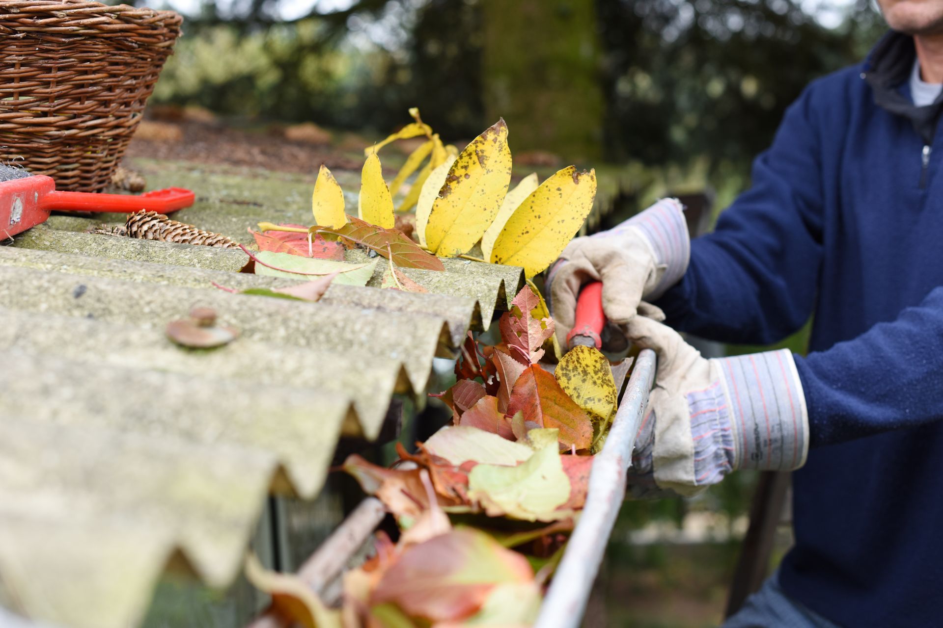 Person in gloves cleaning a rain gutter filled with leaves.