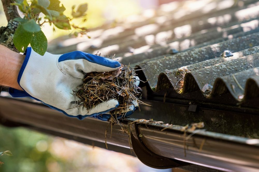A person wearing gloves cleans a gutter full of debris, outdoors.