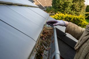 Person in a tan coat and gloves cleaning a gutter full of leaves on a dark roof.