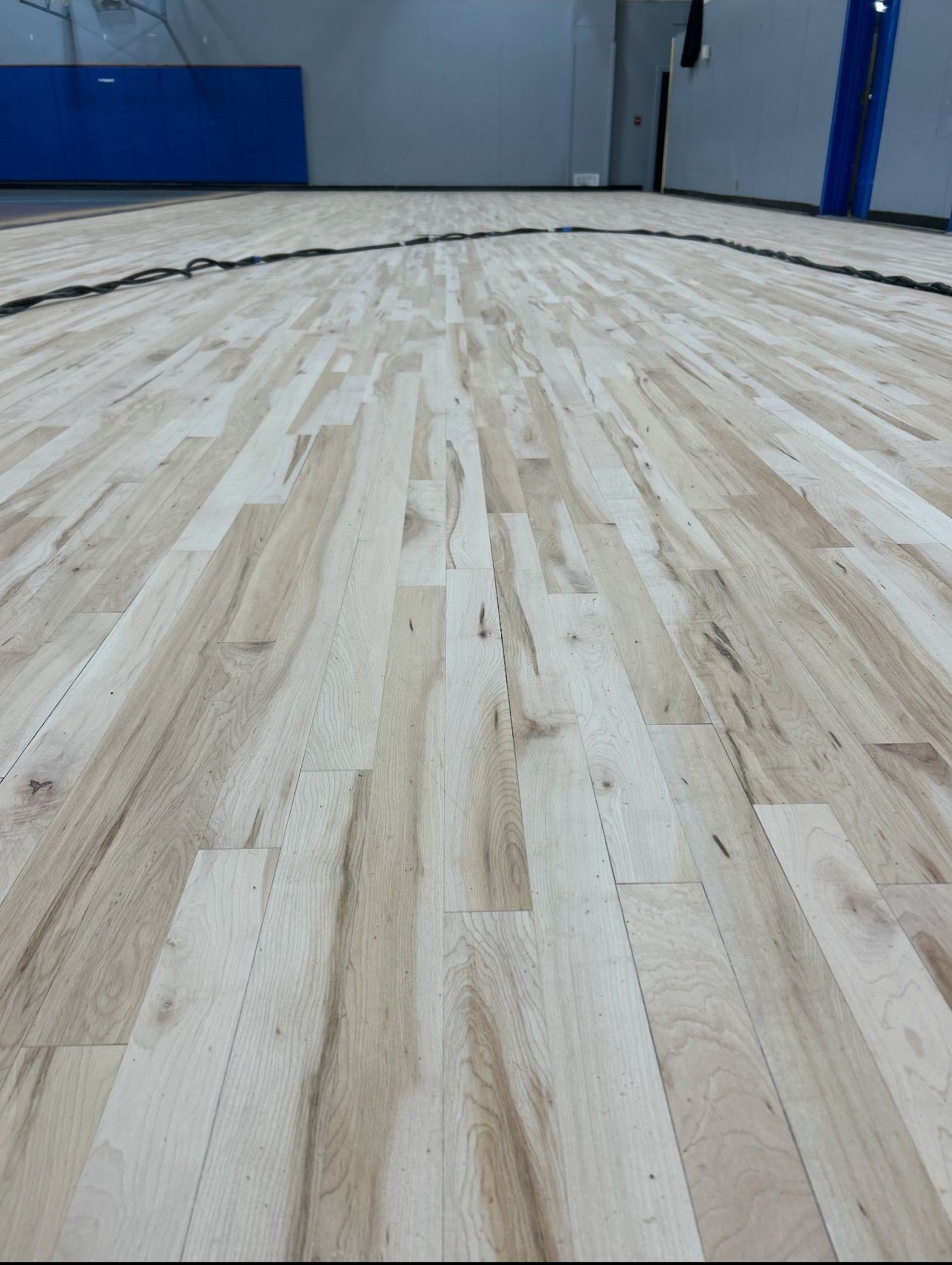 Wood basketball court floor, medium tone, with visible wood grain, extending towards a blue wall.