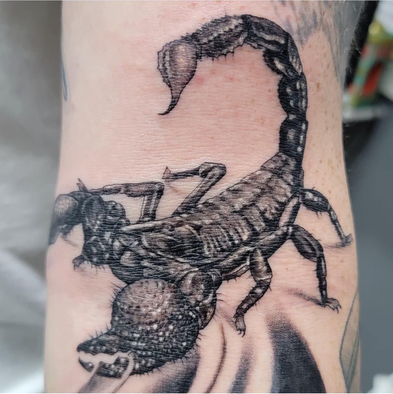 Black scorpion tattoo on skin, shown in close-up.