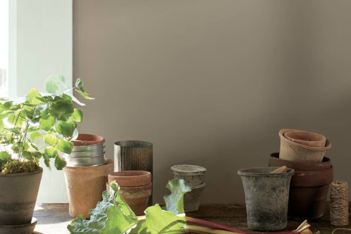 Benjamin Moore dark brown paint in a kitchen near Lexington, KY