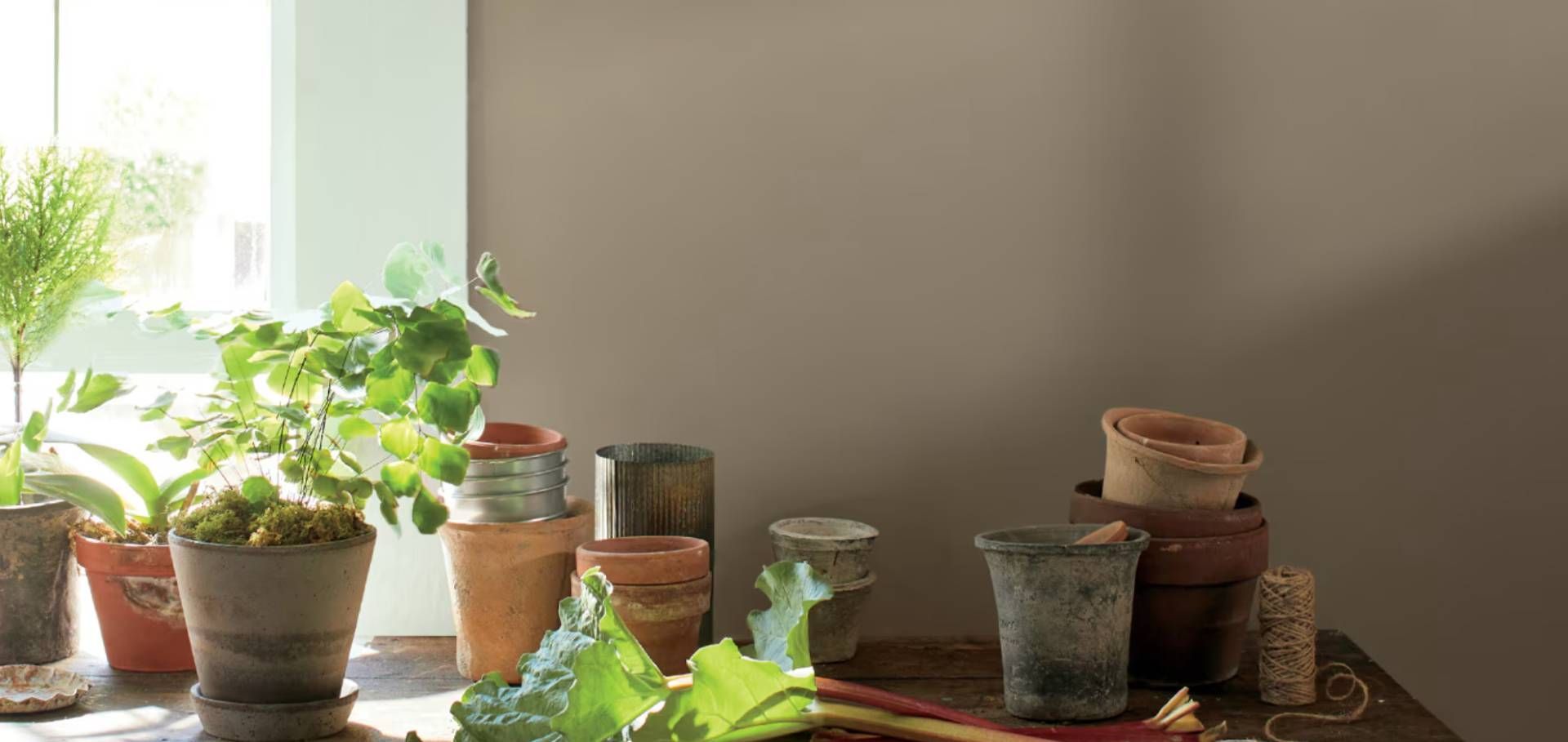 Benjamin Moore dark brown paint in a kitchen near Lexington, KY