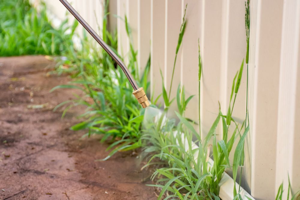 A Person is Spraying Grass Next to a Fence With a Sprayer — Beutels Pest & Weed Control In Metford, NSW