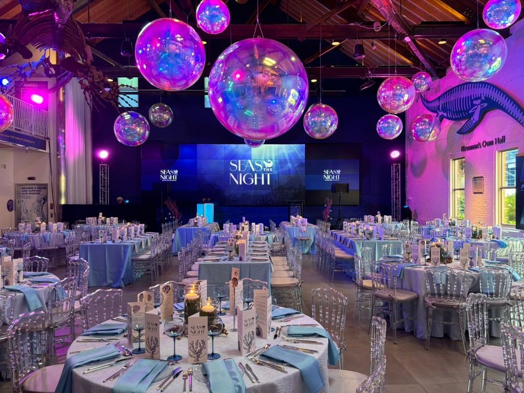 Lights that look like spheres and bubbles are hung from a ceiling above table settings