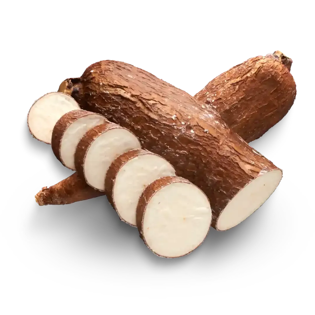 Cassava Yuca