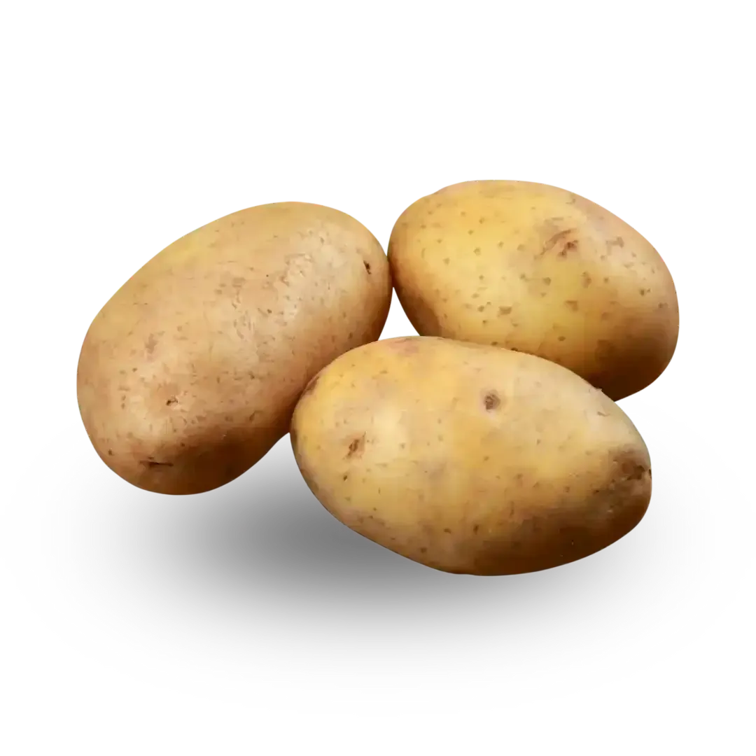 Potato