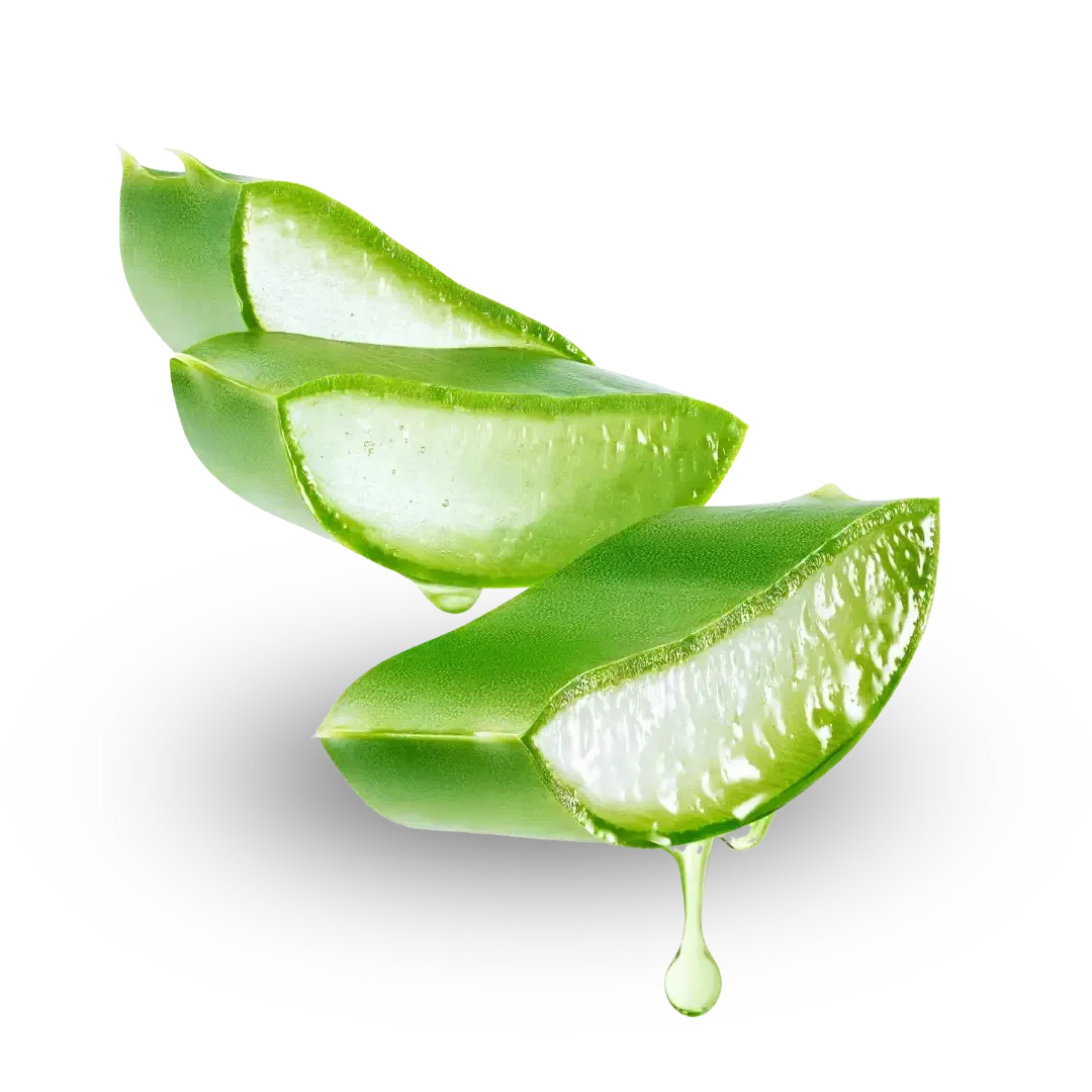 Aloe vera