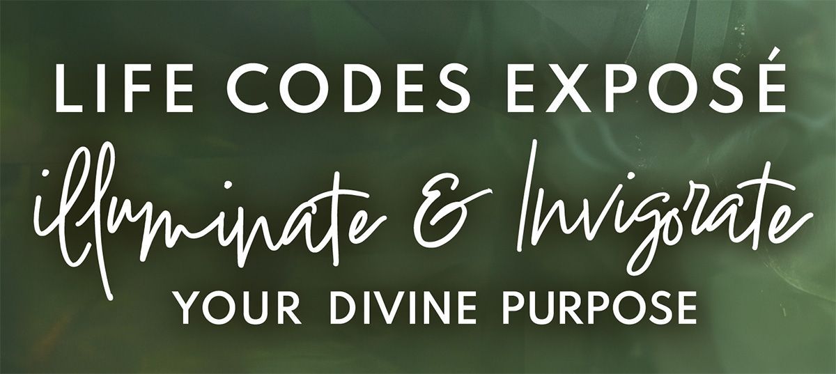 Speaker Center Life Codes Exposé 2024