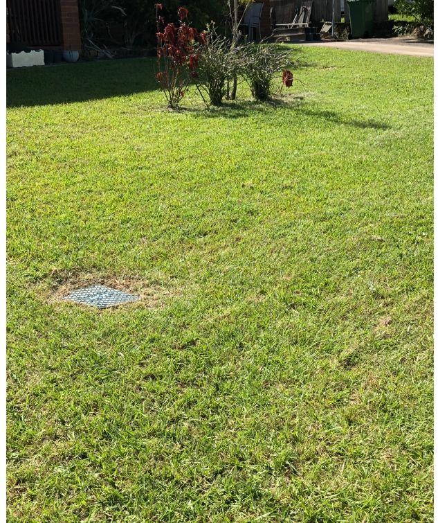 After Cleaning The Front Yard — Cleaners in Sunshine Coast, QLD