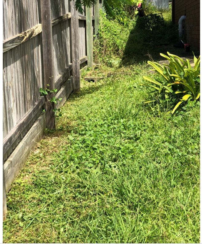 Before Cleaning The Side Area — Cleaners in Sunshine Coast, QLD