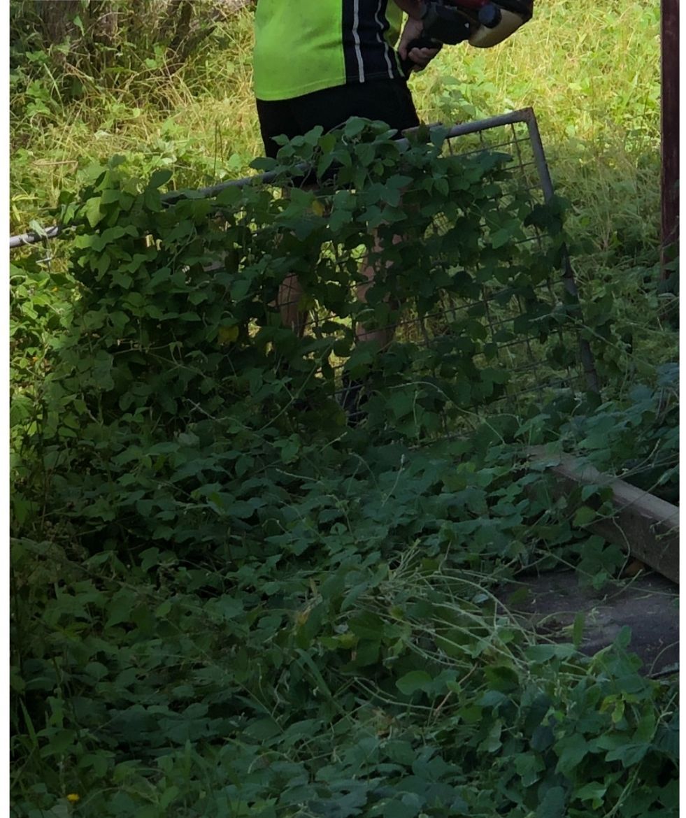 Before Cleaning The Side Area Of Yard — Cleaners in Sunshine Coast, QLD