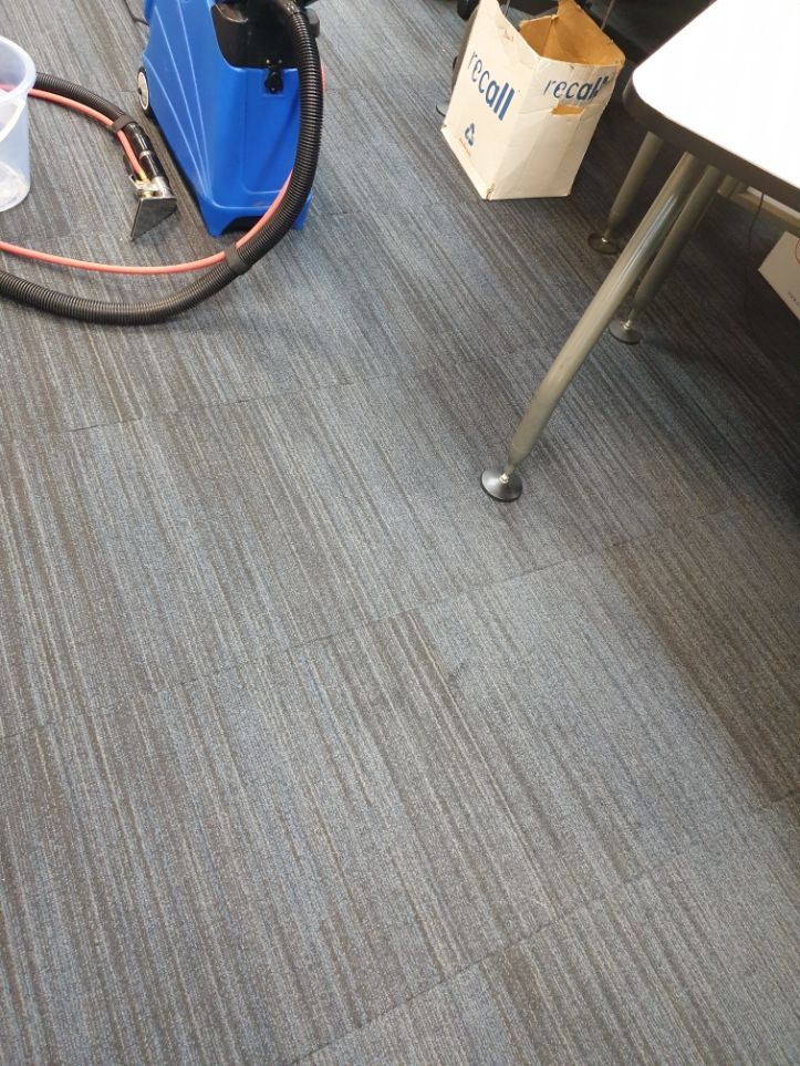 Before Cleaning The Carpet — Cleaners in Sunshine Coast, QLD