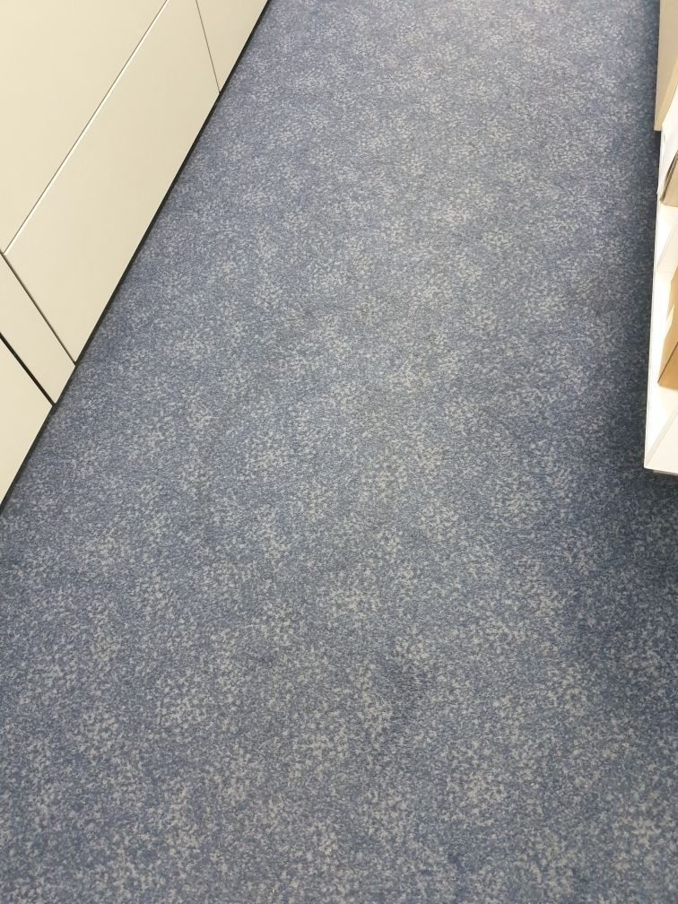 Carpet Cleaning — Cleaners in Sunshine Coast, QLD