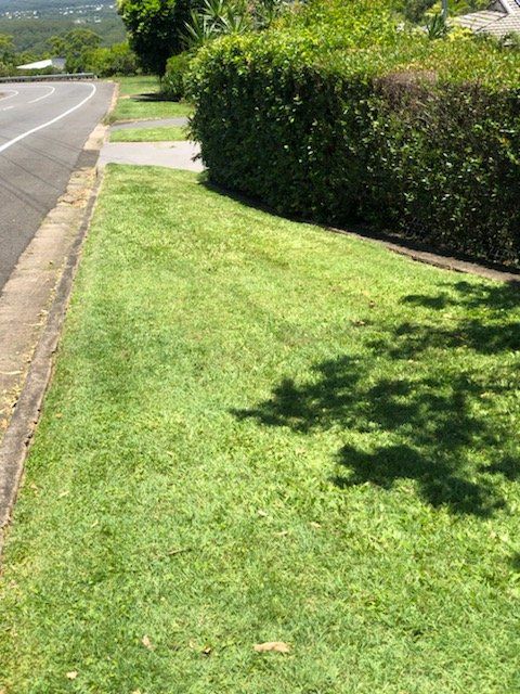 Finished Result Of The Front Yard — Cleaners in Sunshine Coast, QLD