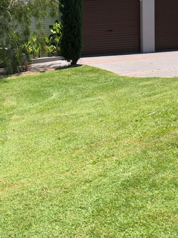 After Trimming The Front Yard — Cleaners in Sunshine Coast, QLD
