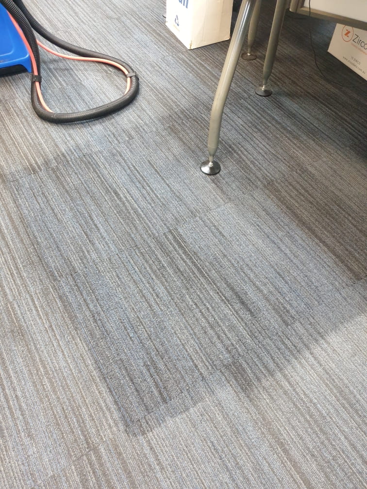 Cleaned Grey Carpet — Pressure Cleaning in Sunshine Coast, QLD